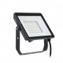 Floodlight/Projektorlampa Philips ProjectLine 4750 Lm 50 W 6500 K