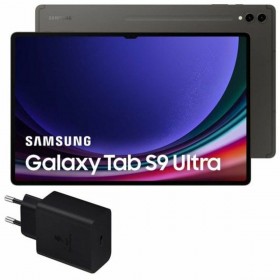 Läsplatta Samsung Galaxy Tab S9 Ultra 5G Grå 1 TB 256 GB