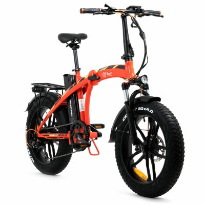 Elektrisches Fahrrad Youin You-Ride Dubai 20" 250W 10000 MAH