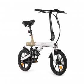 Elektrisches Fahrrad Youin BK0500 Schwarz 20" 250 W 25 km/h