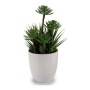 Decorative Plant 8430852222091 Cork White Green Plastic 14 x 30 x 14 cm