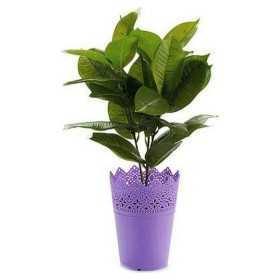 Plant pot 8430852224163 Red Purple Blue Green Plastic 15 x 18 x 15 cm