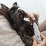 Elektrisk nagelfil för husdjur PediPet InnovaGoods