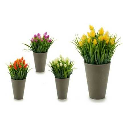 Plante décorative 8430852552952 Gris Violet Orange Blanc Jaune Plastique 10 x 20 x 10 cm