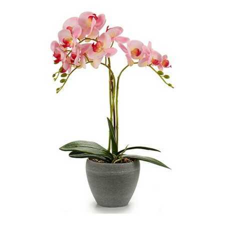 Decorative Flowers 8430852552570 Plastic Plant pot (25 x 50 x 36 cm)