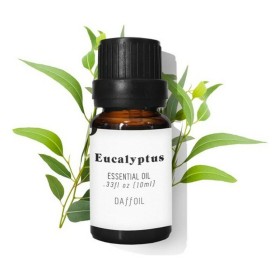 Essential oil Daffoil Aceite Esencial Eucalyptus