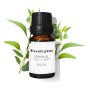 Ätherisches Öl Daffoil Aceite Esencial Eukalyptusbaum