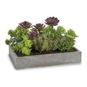 Decorative Plant Rectangular 16,5 x 20 x 28,5 cm Cement Plastic