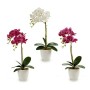 Pot Orchid Violet Rose Lila Blanc Plastique (51 cm)