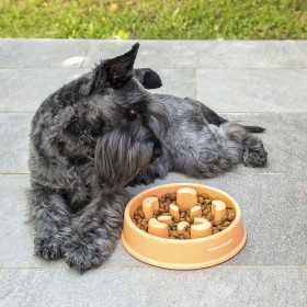 Långsam äta matskål för husdjur Slowfi InnovaGoods