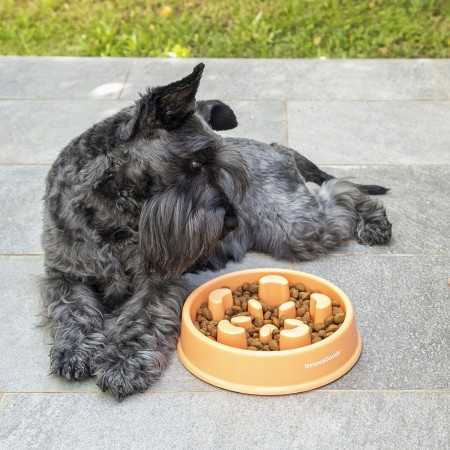Slow Eating Food Bowl for Pets Slowfi InnovaGoods