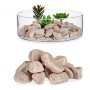 Decorative Stones 2 Kg Soil