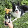 Selfie Clip for Pets Pefie InnovaGoods