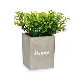 Plante décorative Gris Ciment Vert Plastique 13 x 20 x 13 cm