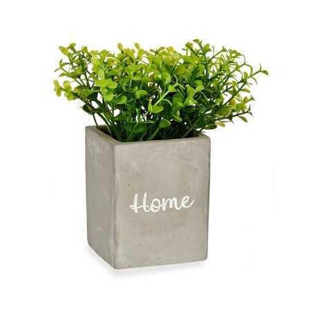 Dekorationspflanze Grau Zement grün Kunststoff 13 x 20 x 13 cm