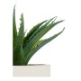 Decorative Plant White Green Plastic