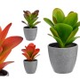 Dekorationspflanze Rot Grau grün Kunststoff 11 x 20 x 11 cm