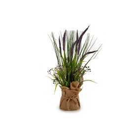 Decorative Plant Rushes Purple Brown Cork Green Plastic Raffia