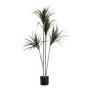 Decorative Plant Narrow leaf Green Plastic (80 x 140 x 85 cm)