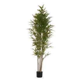 Dekorationspflanze Bambus grün Kunststoff (80 x 180 x 80 cm)