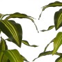 Dekorativ växt Brett blad Grön Plast (70 x 120 x 70 cm)