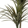 Decorative Plant Narrow leaf Green Plastic (80 x 150 x 105 cm)