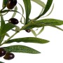 Decorative Plant Olive tree Green Plastic (85 x 150 x 85 cm)