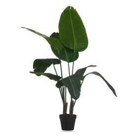 Decorative Plant 100 x 100 x 100 cm Bird of paradise