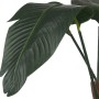 Plante décorative 100 x 100 x 100 cm Oiseaux de paradis