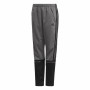 Pantalon de Sport pour Enfant Adidas Manchester United Gris