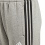 Children’s Sports Shorts Adidas Grey