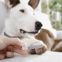 LED-Nagelknipser für Haustiere Clipet InnovaGoods
