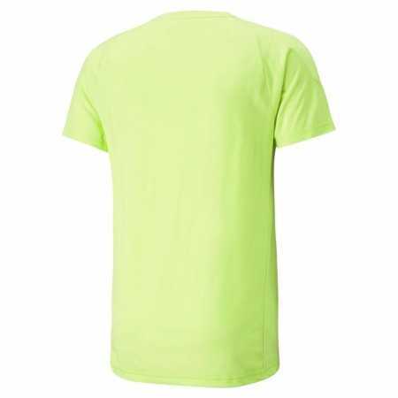 Chemisette Puma Evostripe Vert Homme