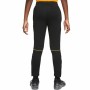 Long Sports Trousers Nike Dri-FIT Academy Black Men