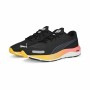 Chaussures de Running pour Adultes Puma Velocity Nitro 2 Noir