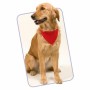 Pet Collar with Scarf 143062 (20 Units)