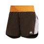 Träningsshorts Adidas Hyperglam Kvinna Brun