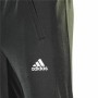 Hose für Erwachsene Adidas Training Dunkelgrau