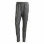 Adult Trousers Adidas Training Dark grey