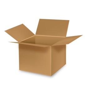 Box Cardboard (49,5 x 30,5 x 31 cm)