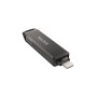 USB stick SanDisk SDIX70N-256G-GN6NE Black