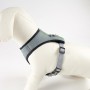 Harnais pour Chien The Mandalorian Gris XS/S