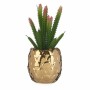 Plante décorative Céramique Doré Cactus Vert Plastique 6 Unités