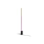 Floor Lamp Philips 915005987201 LED RGB