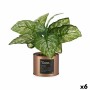 Plante décorative Home Cuivre Cannette (26 x 26 x 26 cm) (6 Unités)