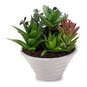 Decorative Plant 8430852222220 Ceramic 14 x 14 x 14 cm White Green