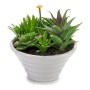 Decorative Plant 8430852222220 Ceramic 14 x 14 x 14 cm White Green