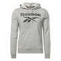 Herren Sweater mit Kapuze Reebok FT BIG LOGO OTH HZ8786 Grau