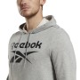 Herren Sweater mit Kapuze Reebok FT BIG LOGO OTH HZ8786 Grau