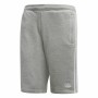 Sport Shorts Adidas 3 Stripes